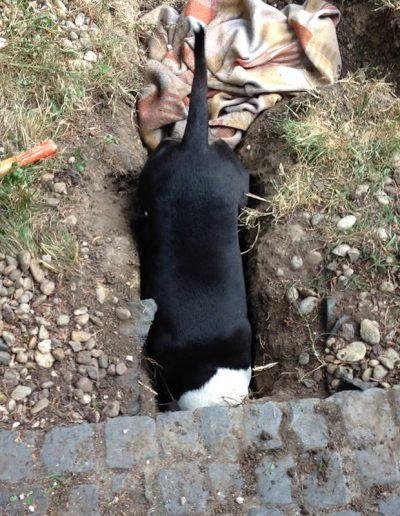 Mindjárt bent vagyok!